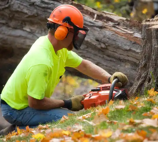 tree services Lincolnton